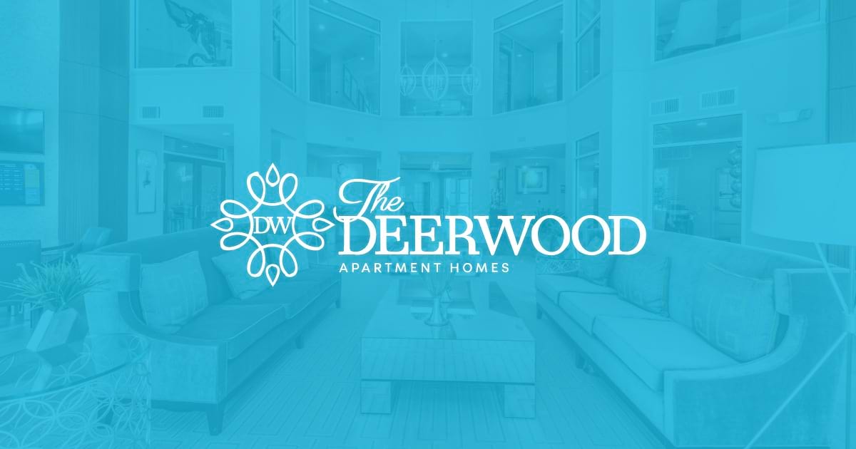 1 Bedroom Apartment – 5800 Woodway Drive #0310, Houston, TX
